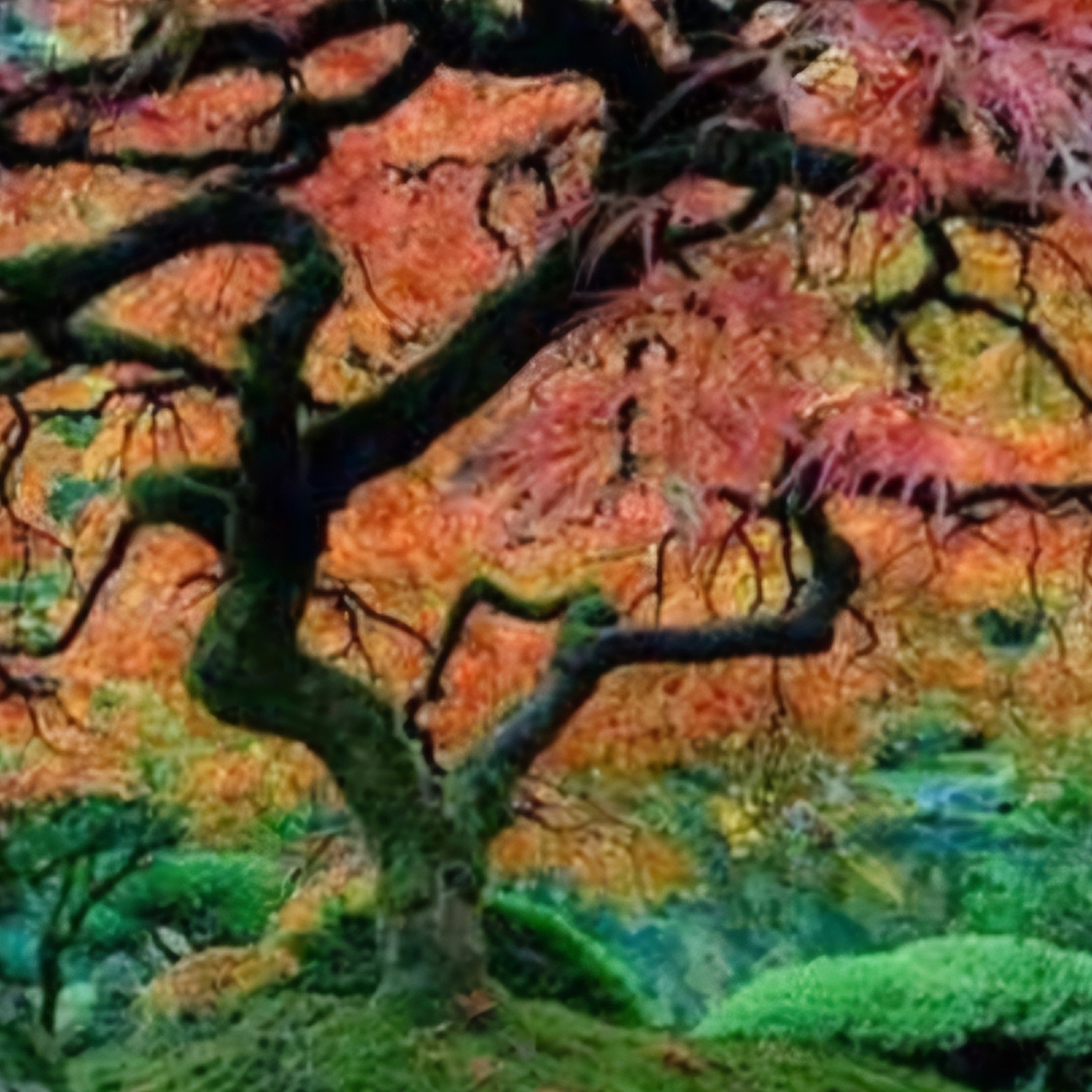 Colorful Autumn Tree Art Print